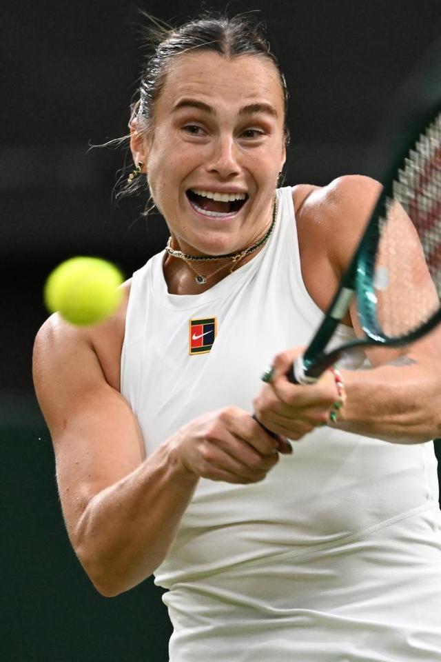 度与执行细 度与执行细