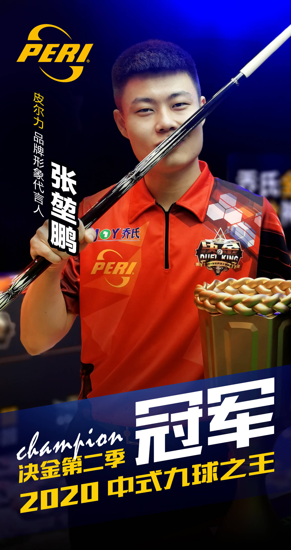 国会议员们 国会议员们